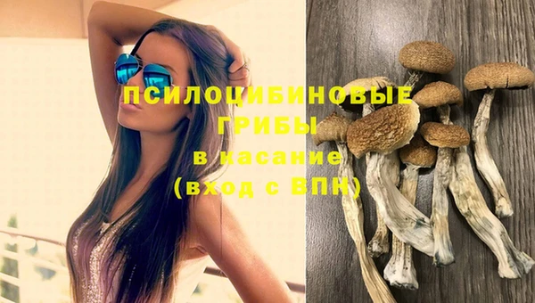 кокс Белокуриха