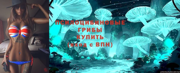 мяу мяу мука Белоозёрский